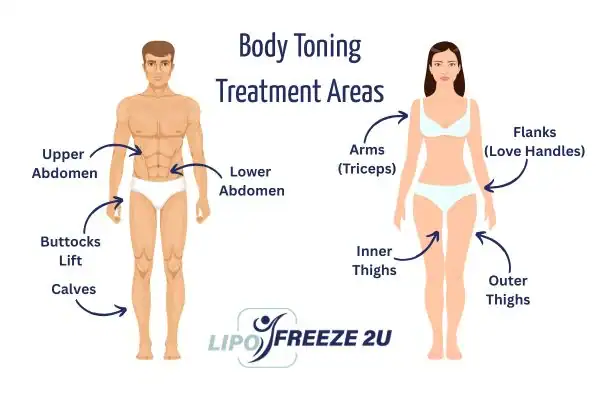 Graphic showing where you can have Body toning Treatment Shoreditch on your body